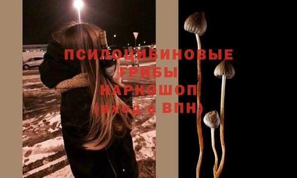 крисы Гусь-Хрустальный
