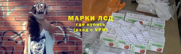 трава Гусиноозёрск