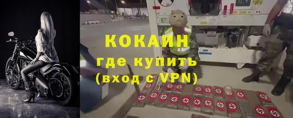 spice Гусев