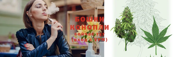 spice Гусев