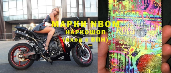 трава Гусиноозёрск