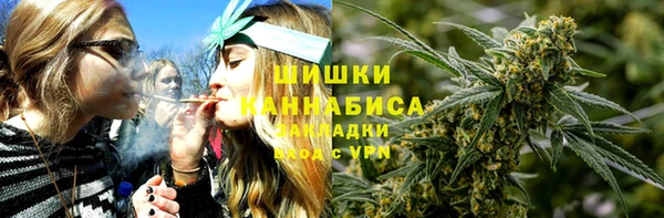 трава Гусиноозёрск