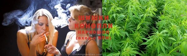 крисы Гусь-Хрустальный