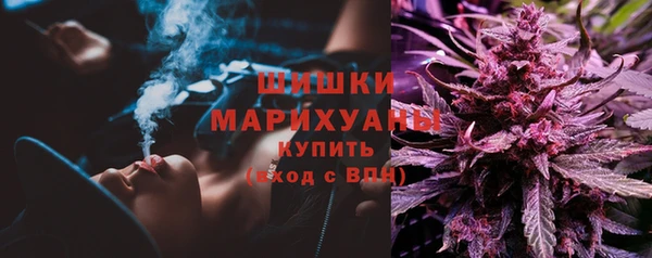 spice Гусев