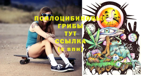 крисы Гусь-Хрустальный